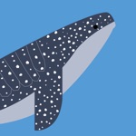 Find the Whales Español