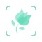•苹果推荐:AppStore八次首页推荐