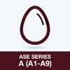 ASE Series A (A1-A9) Test