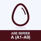 Top 48 Education Apps Like ASE Series A (A1-A9) Test - Best Alternatives