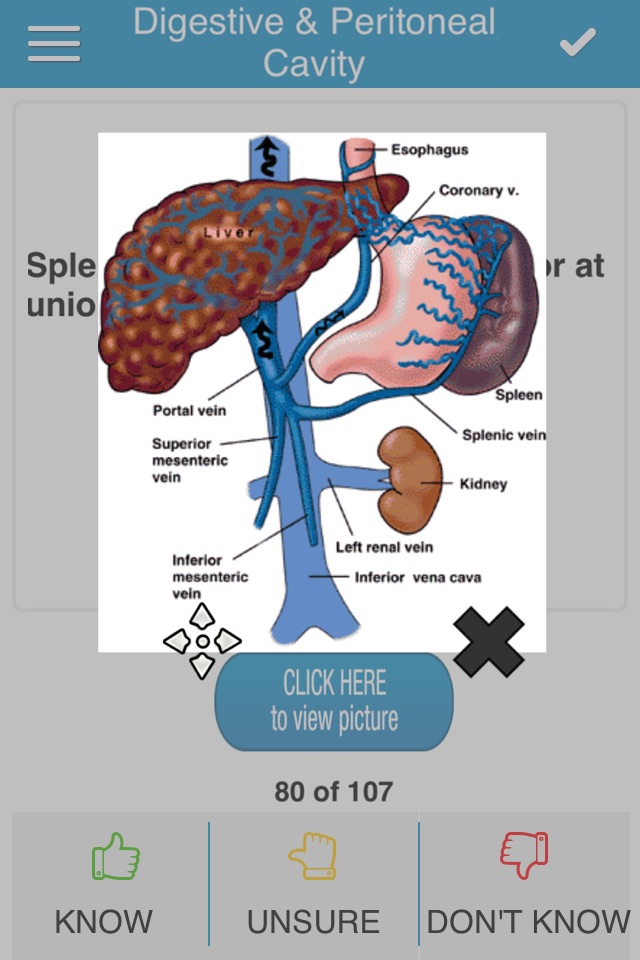 USMLE Anatomy Cram Cards screenshot 2