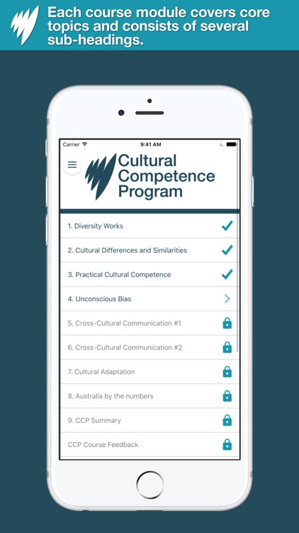 Cultural Competence Program