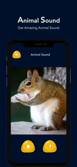 Game screenshot Animal Sound - Zoo Fun hack