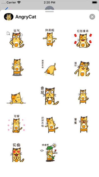 AngryCat2