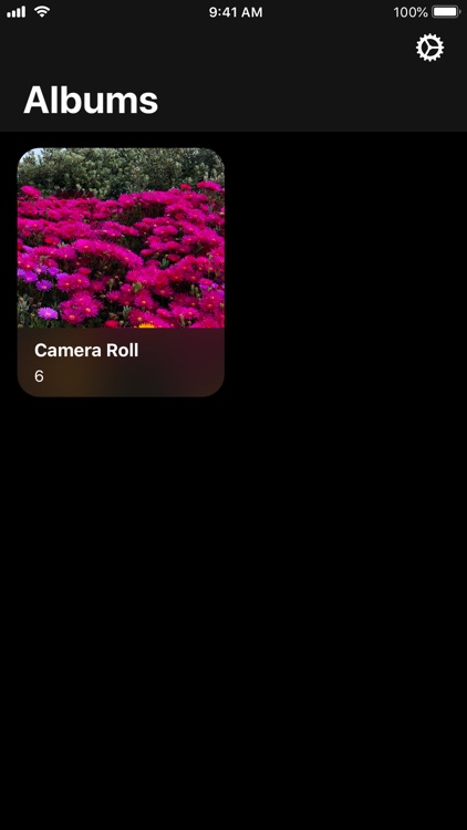 Exif Manager