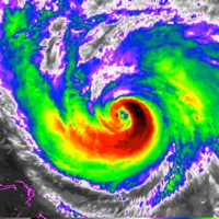 Contact National Hurricane Center Data
