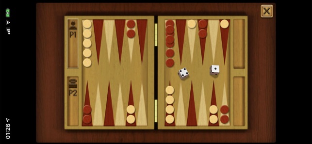 Classic BackGammon Board Game