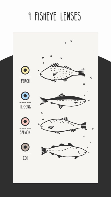 FISHI - Fisheye Camera