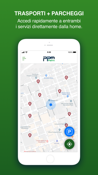 PPM - Piana Palmi Multiservizi screenshot 2