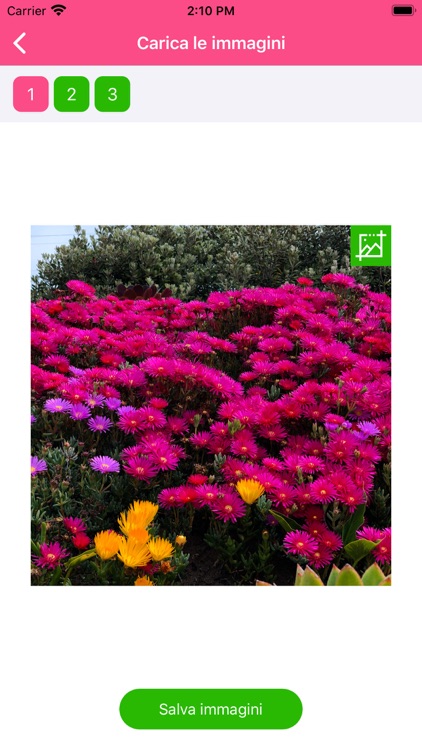 Lab1898 - Stampa on demand screenshot-3