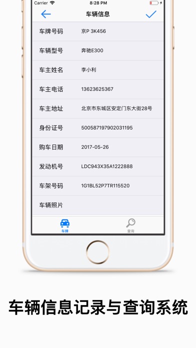 车辆信息记录与查询系统 screenshot 3