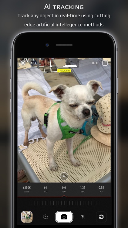 Chromatica camera screenshot-6