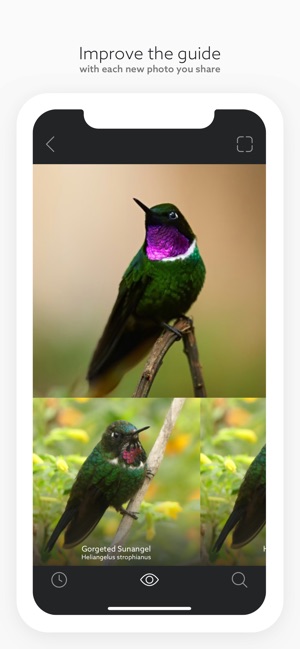 Birds by Fieldguide(圖6)-速報App