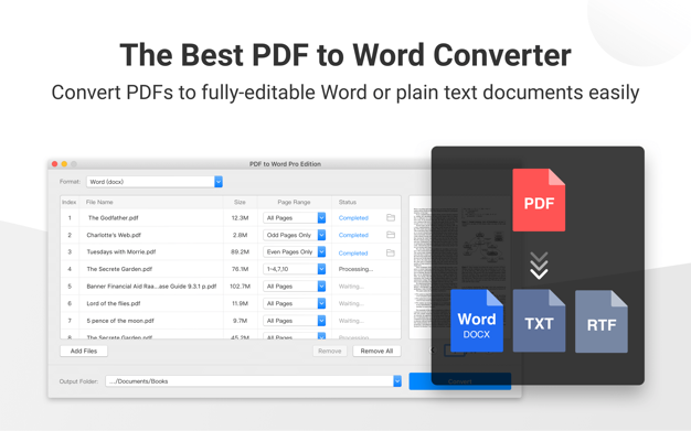 PDF to Word Pro Edition 1.0 full