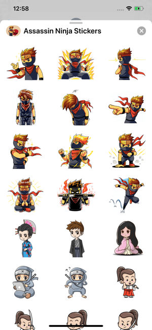 Assassin Ninja Stickers