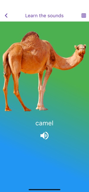 Animal sounds & images(圖4)-速報App