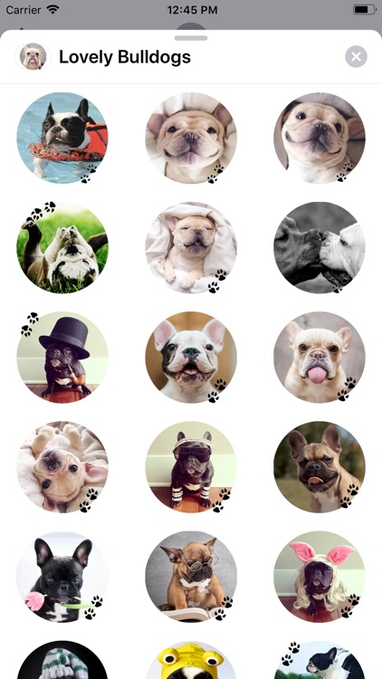 Lovely Bulldogs Sticker Pack