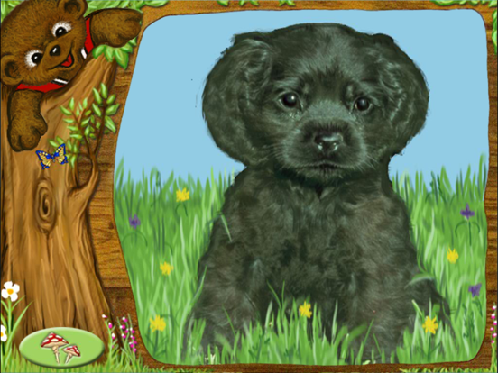 Screenshot #5 pour Petit Ours : Jardin d'éveil
