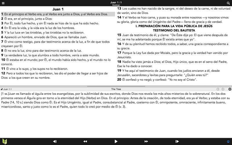 Biblia Católica Desktop screenshot 4