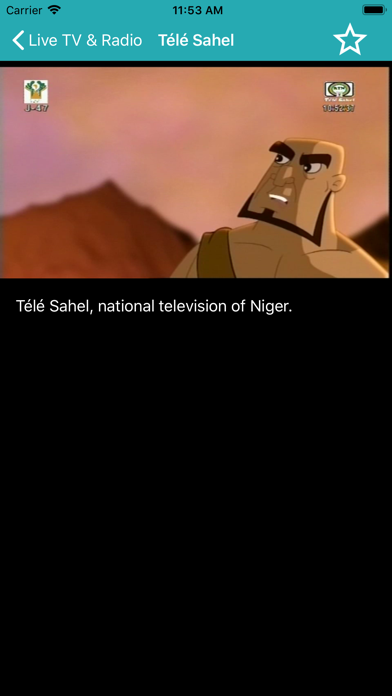 ORTN Télé Sahel screenshot 3