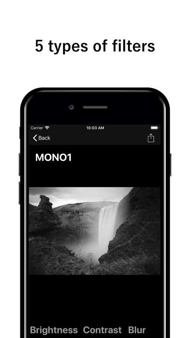 Mono Cam - B&W photo App screenshot 2