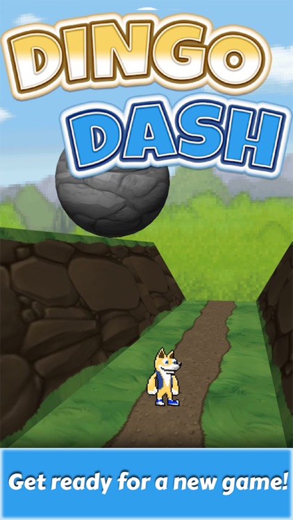 Dingo Dash