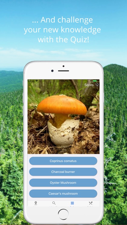 Mushroom Identificator screenshot-4