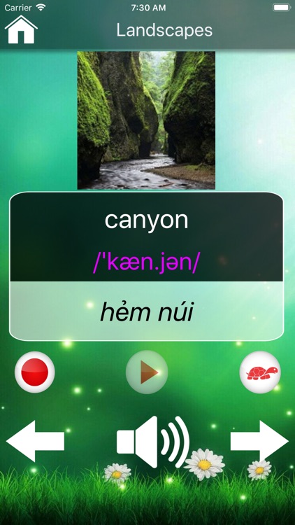 Học Tiếng Anh 123 Pro screenshot-3