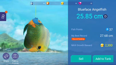 Fishing Strike screenshot 5