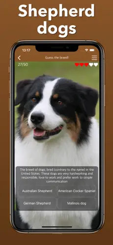 Imágen 5 Razas De Perros: Juegos Cuidar iphone