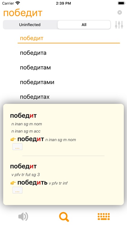 RuFlex Pro Russian Inflection screenshot-3