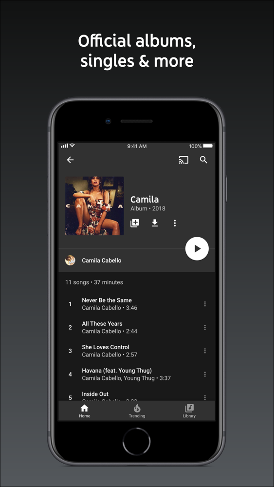 youtube music downloader app for iphone