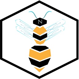 Bee Nexus