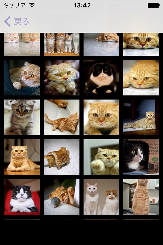 Cat's Family screenshot 4