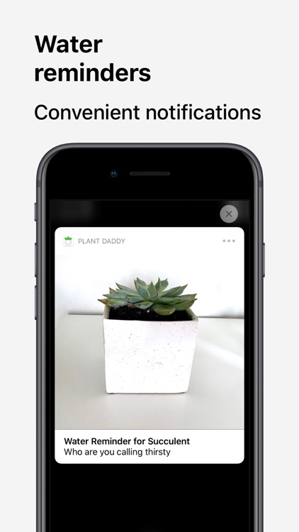 Plant Daddy — Water Reminders