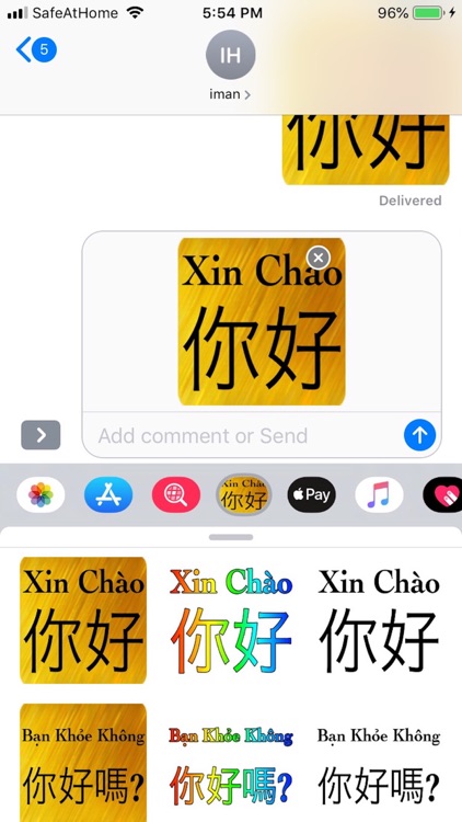 Chinese Vietnames