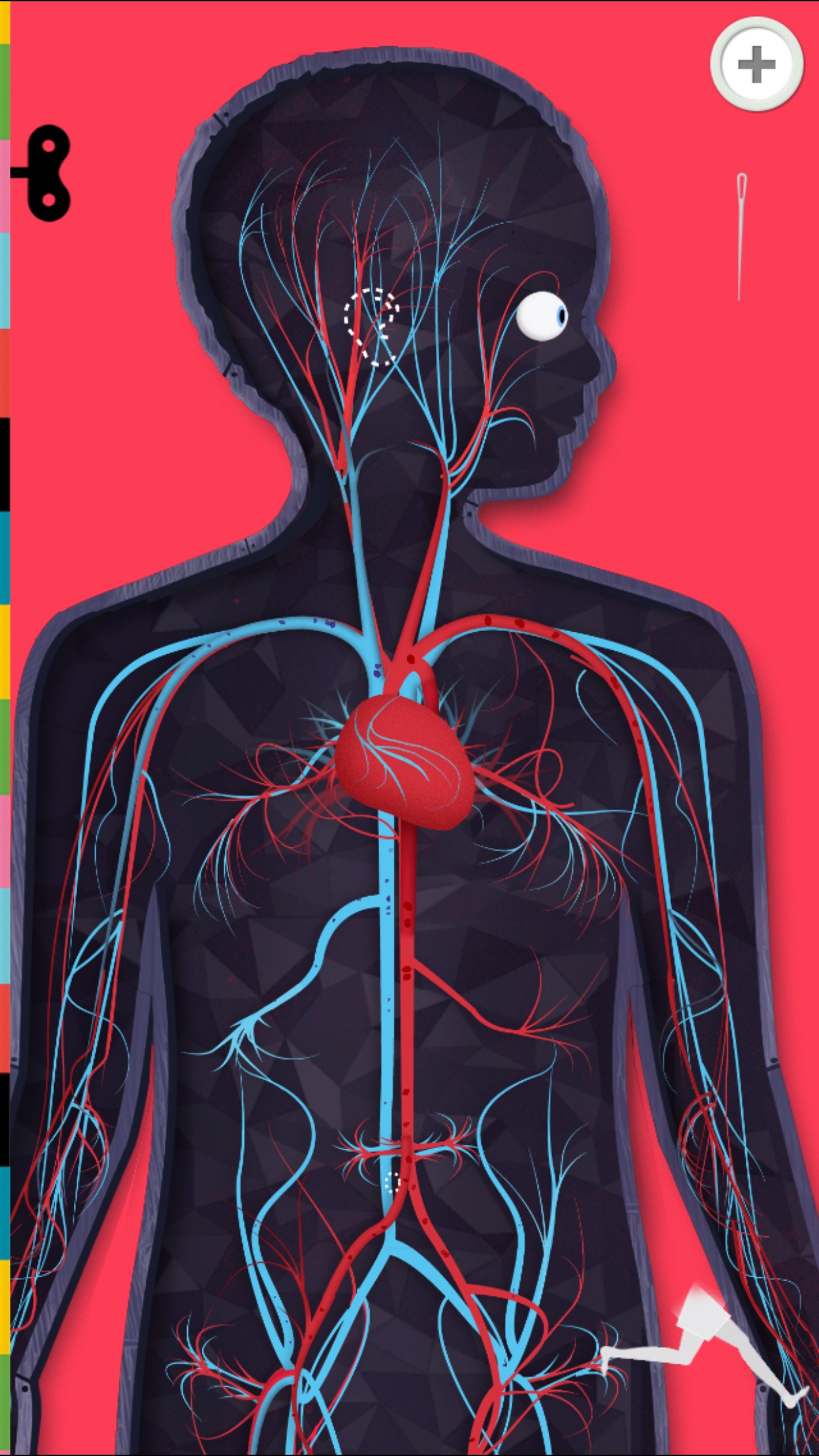 Screenshot do app O Corpo Humano por Tinybop