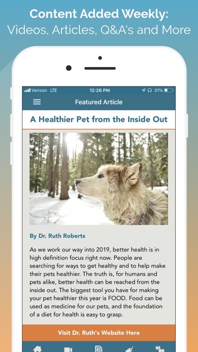 iPet's Ally Holistic Pet Care screenshot 3