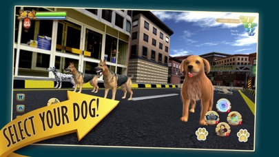 Zoro Pet Dog Race screenshot 3