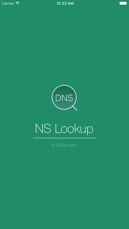 NSLookup Plus