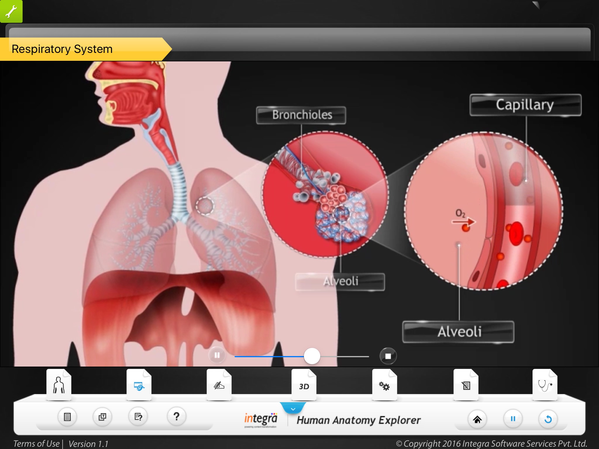 Human Anatomy Explorer screenshot 2