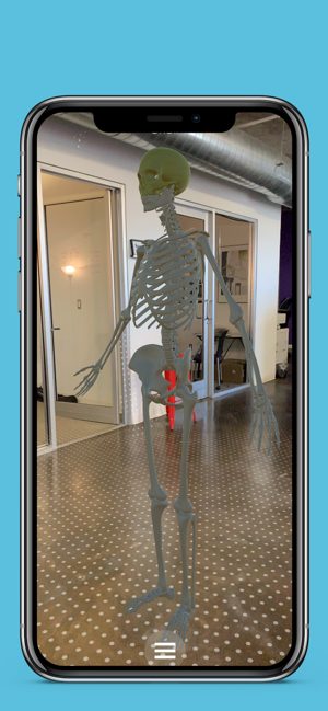 Anatomy AR+(圖7)-速報App