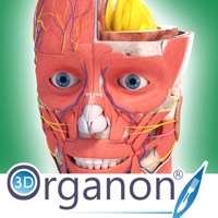3D Organon Anatomy Enterprise