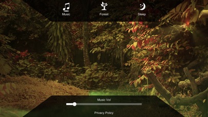 Enchanted Forest HD screenshot 3