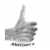 Anatomy and X-Ray Positioning