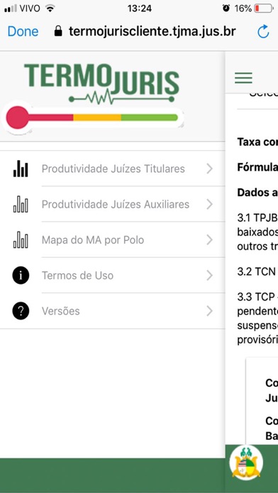 Termojuris screenshot 2