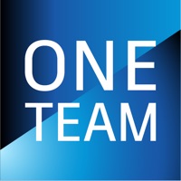 Autodesk One Team