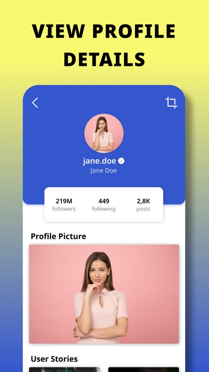 Zoom Profile Picture & Stories