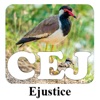 CEJ e-Justice