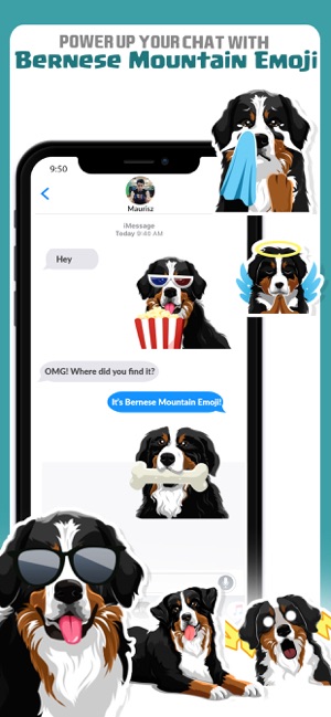 Bernese Mountain Dog Emoji(圖4)-速報App